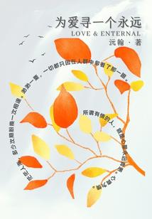 圣武极光