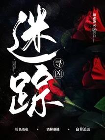 方舟血脉系统