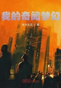 圣光武士