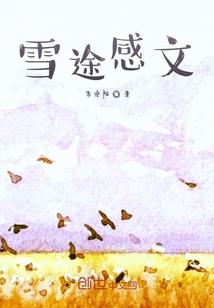 孤星之主