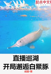 暗灵卫