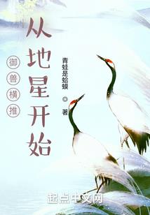随风美国往事