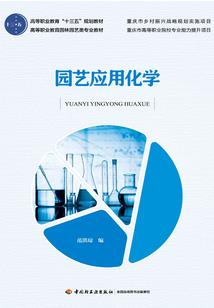 孤独行走的天使