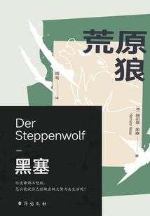 南有嘉安