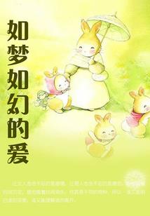 北顾冰城