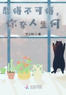 透过我的眼