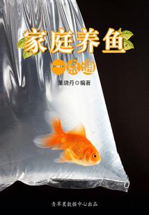 权皇路