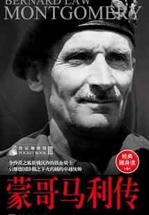 山寨版韩帅