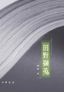浮城传