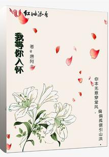穿越之云景盛歌