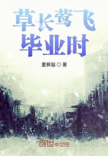 穿越之弃妃绝色乱天下