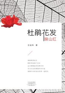游戏王之我用报社卡组打爆全世界
