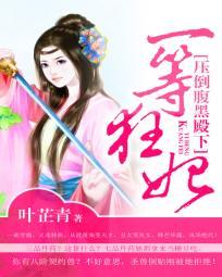 妖孽王爷的追夫王妃