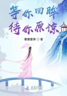 风云时代之群雄争霸