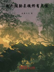 我的极品空姐
