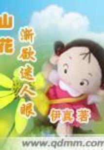 漫步世界的道士