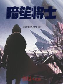 十阳荣耀系统