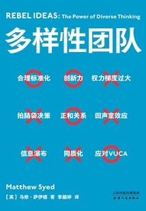 瞎子小王爷