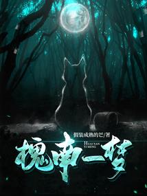 三生倾覆：落花劫