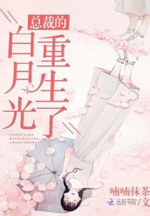 这个签到日常太赞了