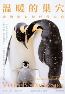 从二次元中走出的男人