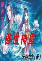 玲珑道影