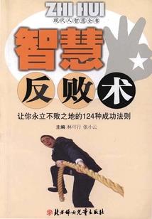 红尘再续之靖王妃