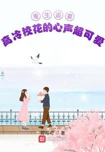 超级赏金猎人