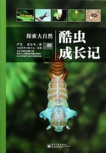 系统构建员